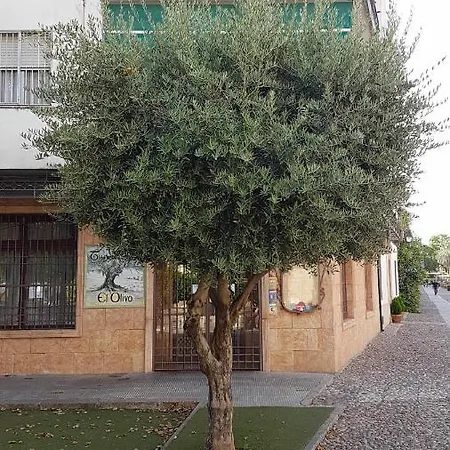 Fantastico Junto A La Juderia קורדובה